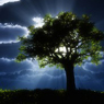 Popular Theme Birth Blues and Greens (Light Dust Ver) for DeskScapes by DEVJIT